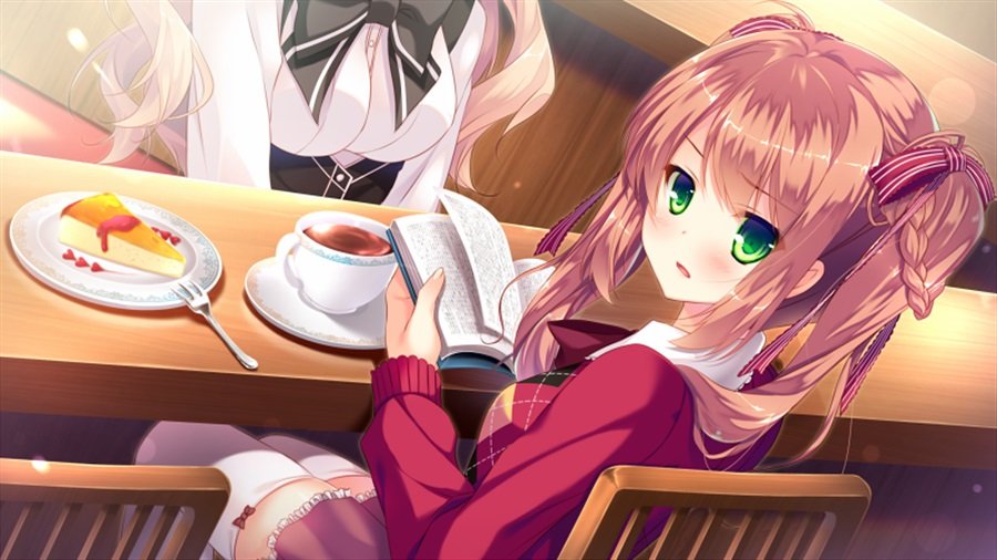 resize_image (2).jpg